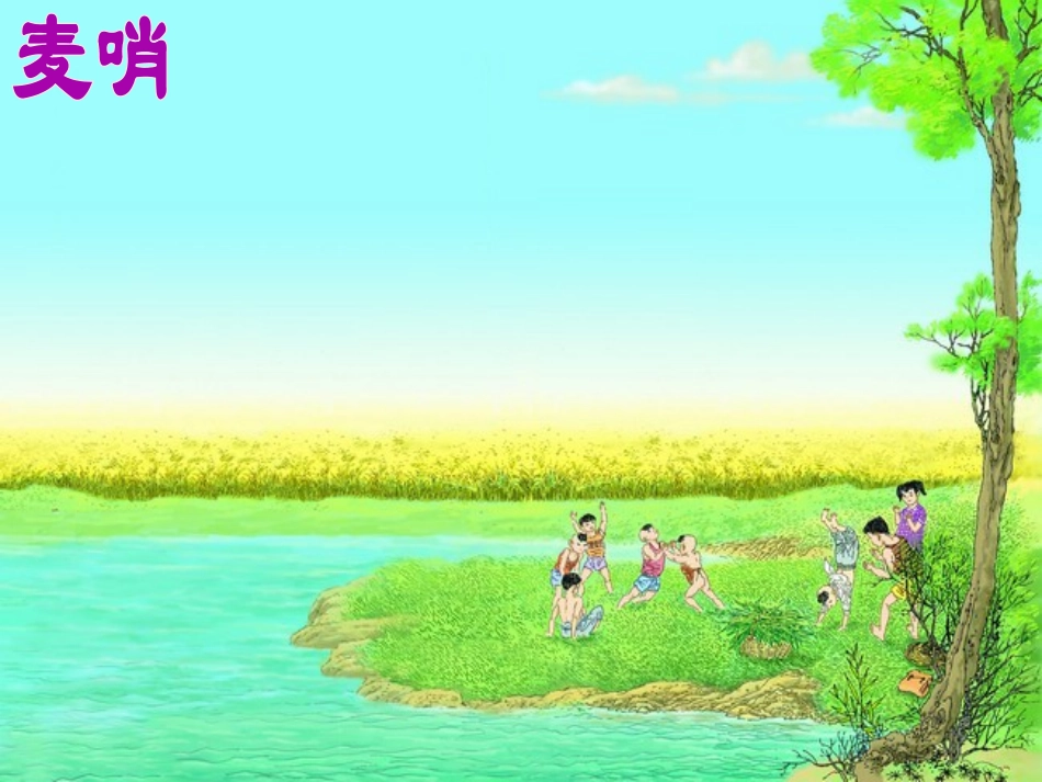 《麦哨》PPT课件[部编版四年级语文下册]_第2页
