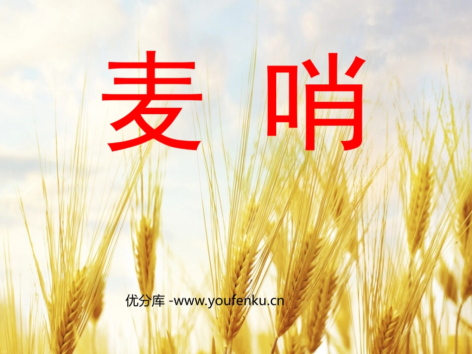 《麦哨》PPT课件[部编版四年级语文下册]_第1页