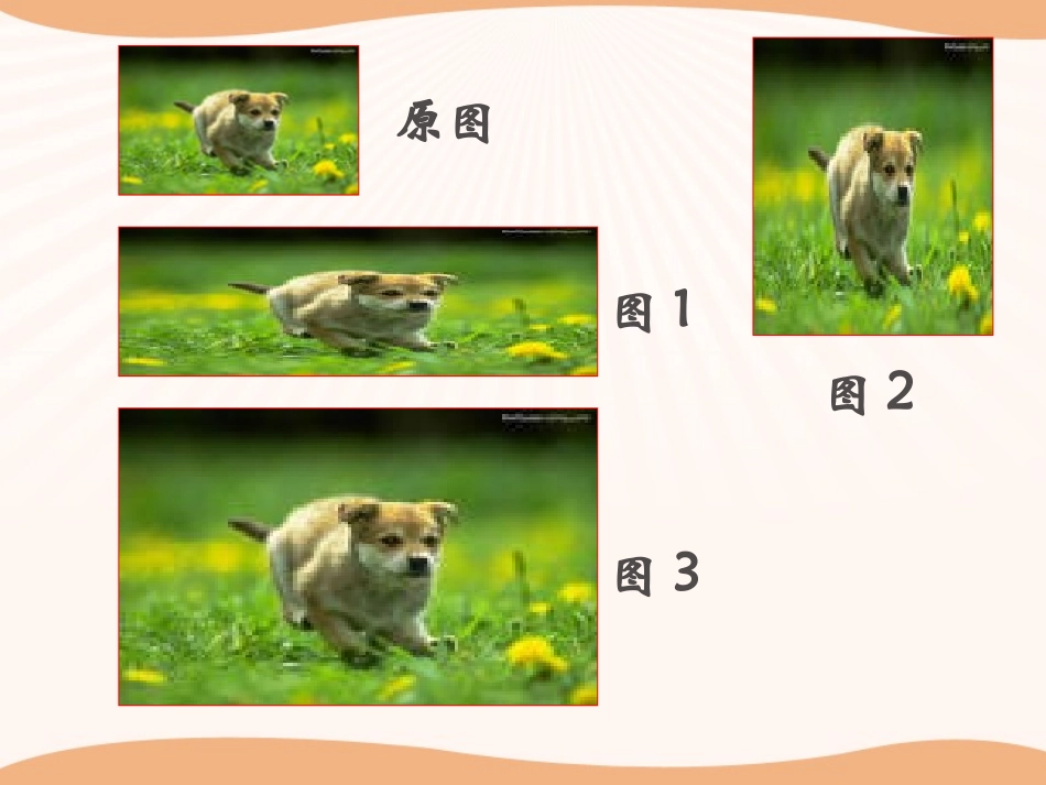《图形的放大和缩小》PPT课件[冀教版六年级数学下册]_第3页