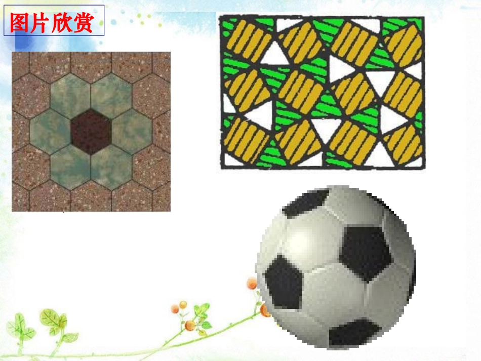 《正多边形与圆》PPT课件[冀教版九年级数学下册]_第3页
