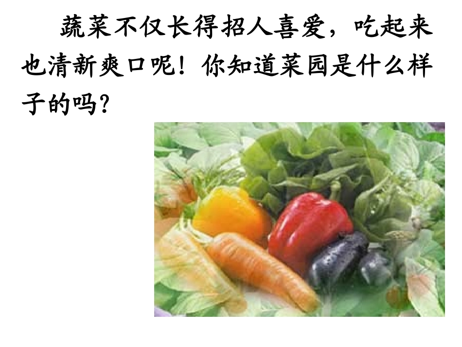 《父亲的菜园》PPT课件[部编版四年级语文下册]_第3页