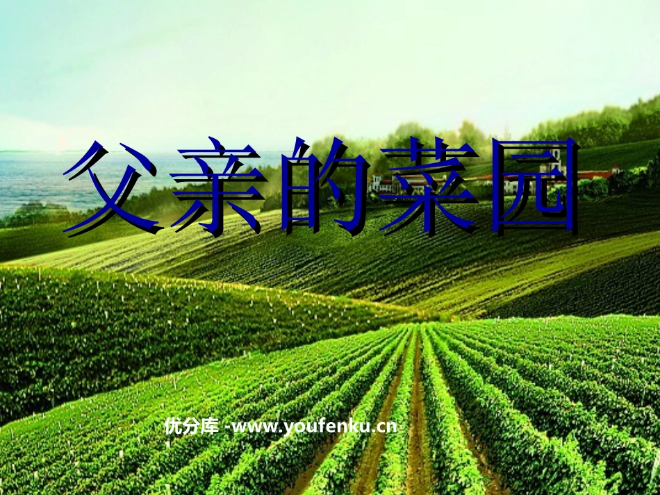 《父亲的菜园》PPT课件[部编版四年级语文下册]_第1页