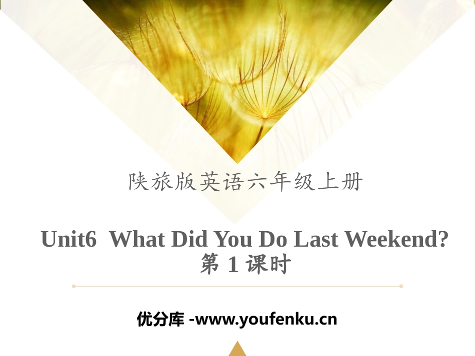 《What Did You Do Last Weekend?》PPT课件_第1页