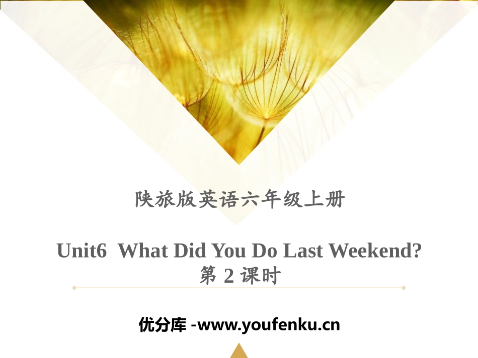 《What Did You Do Last Weekend?》PPT课件_第1页