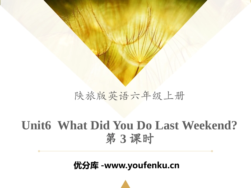 《What Did You Do Last Weekend?》PPT课件_第1页