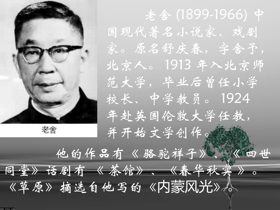《草原》PPT课件[部编版五年级语文下册]_第3页
