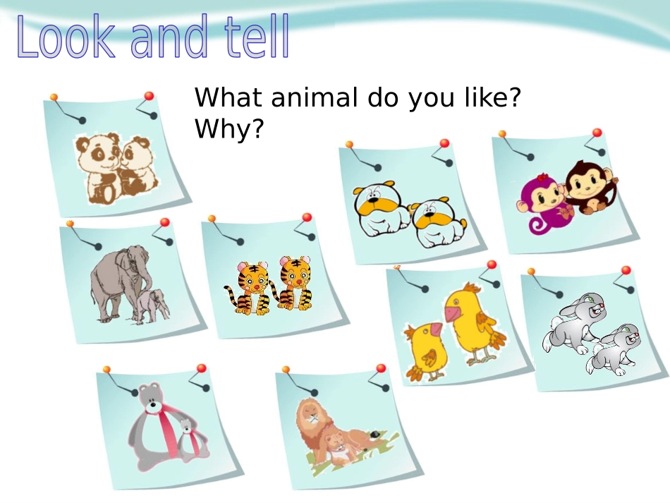 《Animals in the zoo》PPT课件_第3页