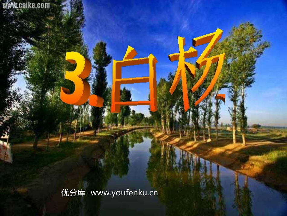 《白杨》PPT课件[部编版五年级语文下册]_第1页
