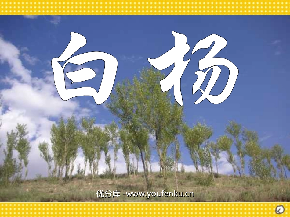 《白杨》PPT课件[部编版五年级语文下册]_第1页