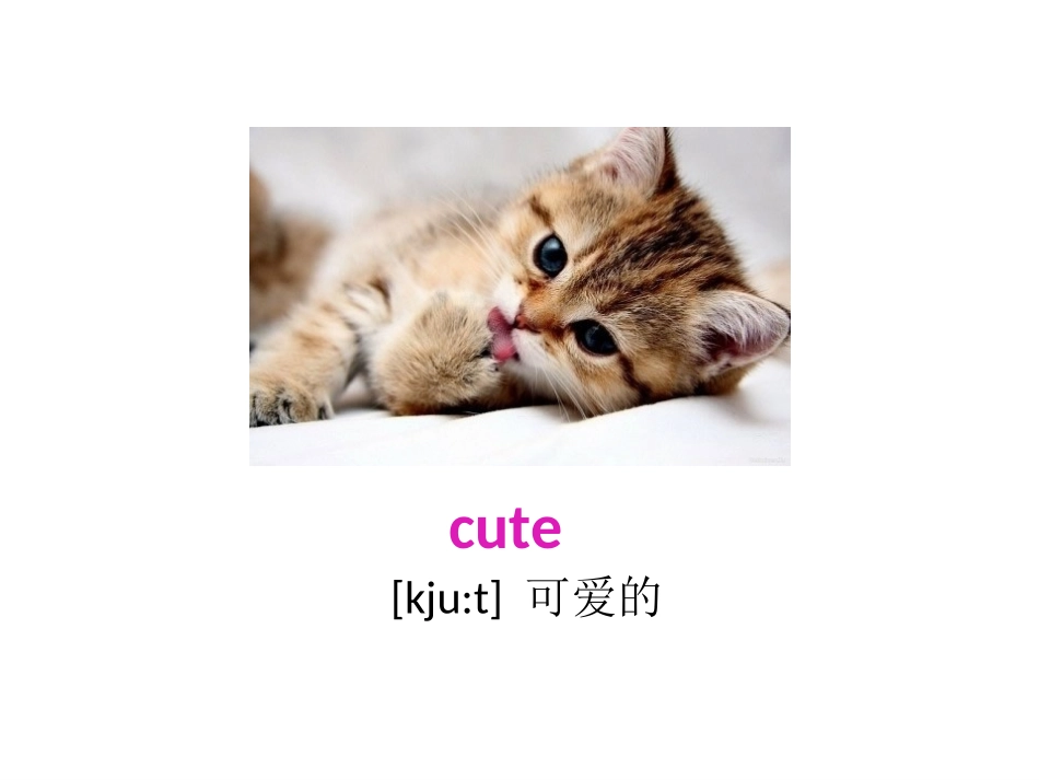 《Growing up》PPT课件[上海教育版六年级英语]_第3页