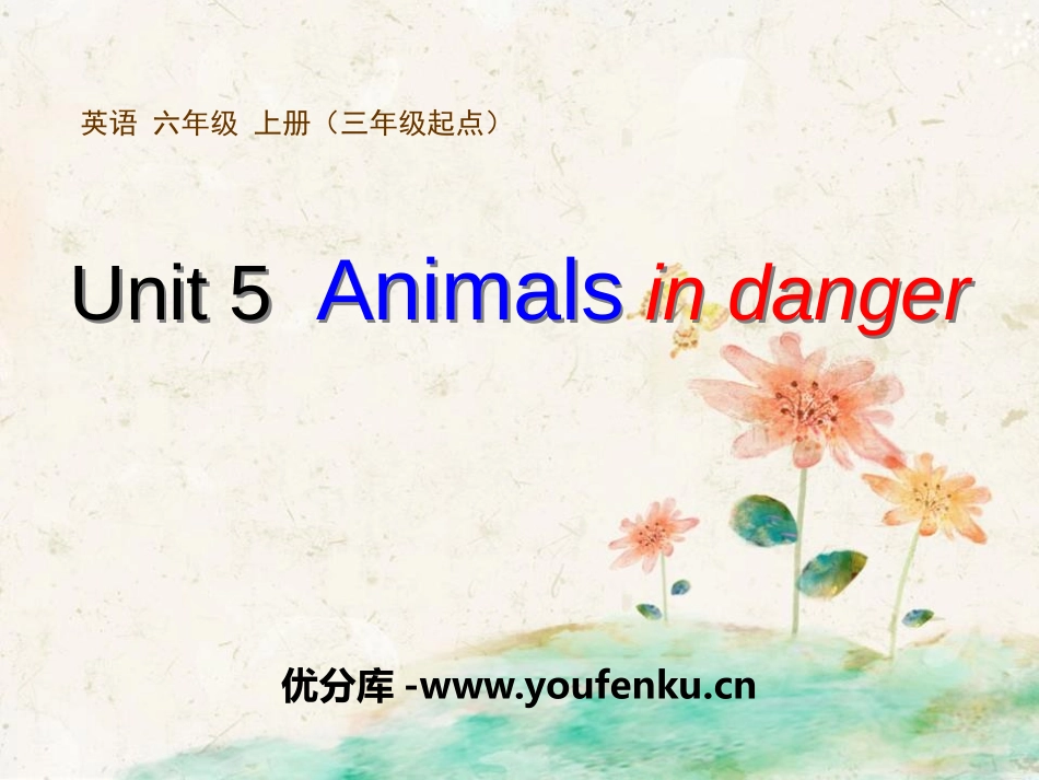 《Animals in danger》PPT课件_第1页