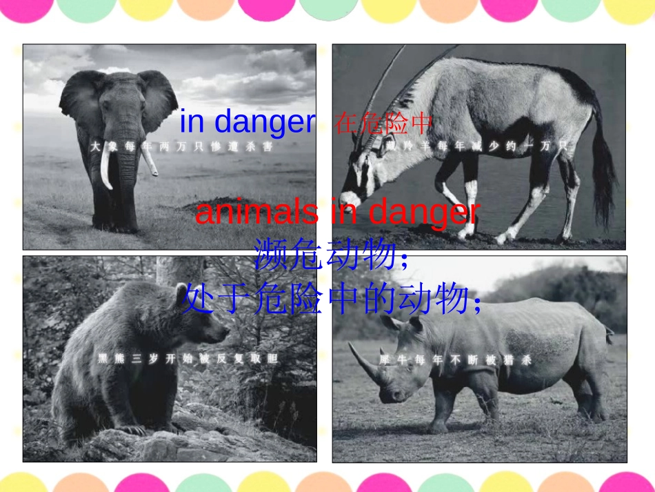 《Animals in danger》PPT课件_第3页