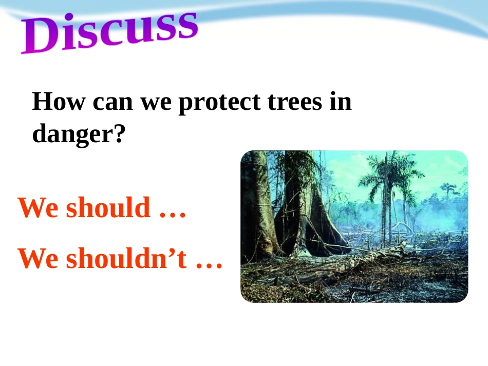 《Trees》PPT课件[上海教育版六年级英语上册]_第3页