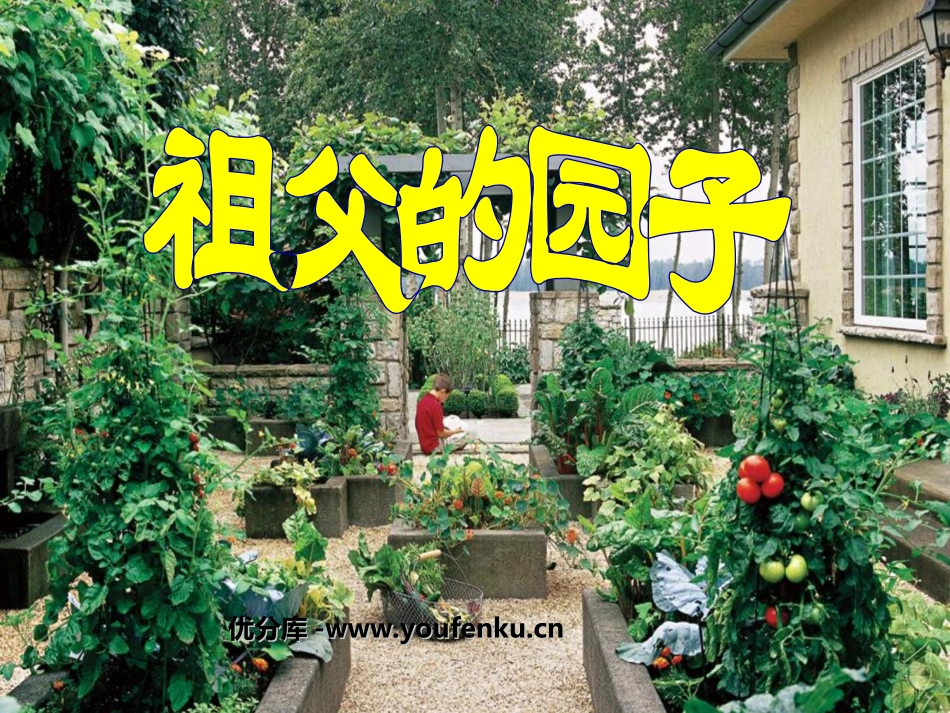 《祖父的园子》PPT课件[部编版五年级语文下册]_第1页