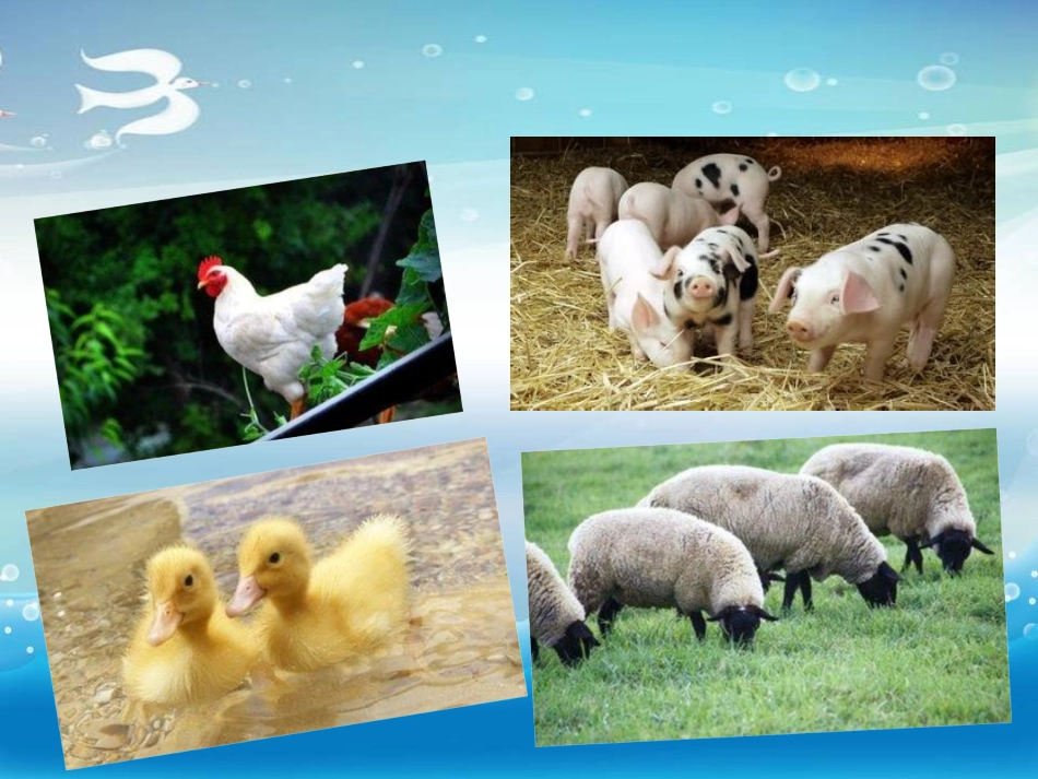 《What are those farmers doing?》PPT课件_第3页