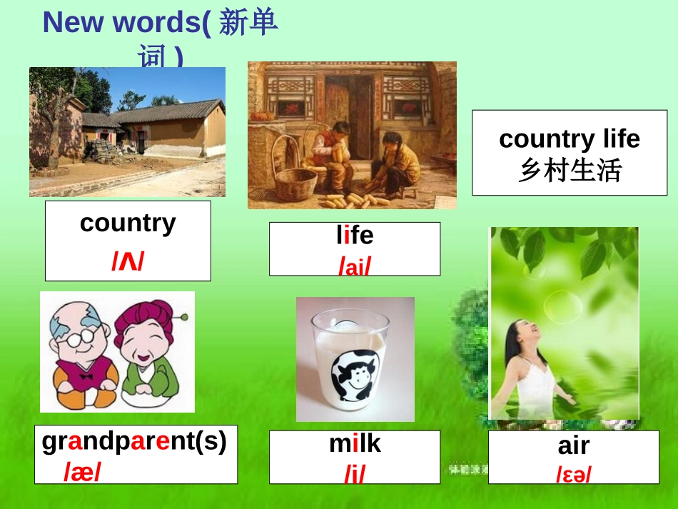 《A country life is a healthy life》PPT课件_第2页