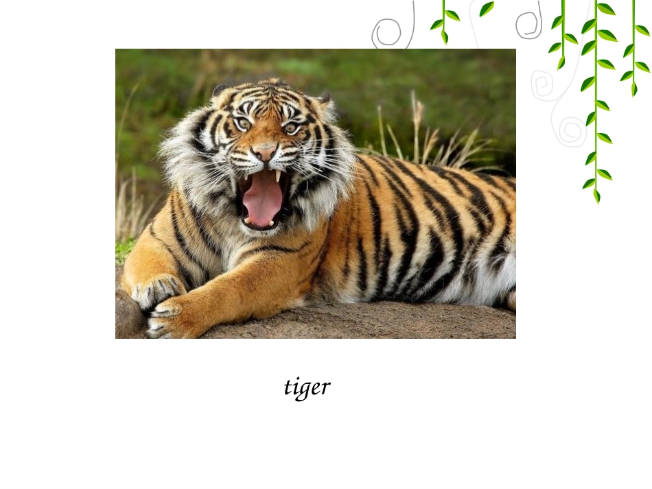 《What animal is it?》PPT课件_第3页