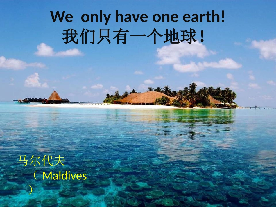 《We can save the animals》PPT课件_第3页