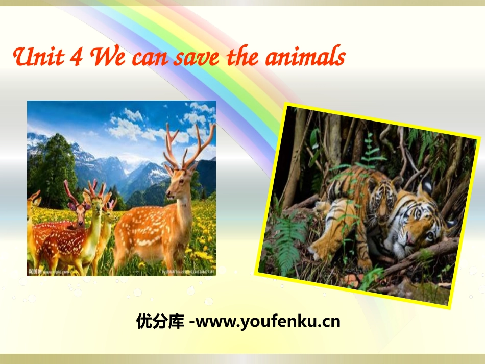 《We can save the animals》PPT课件_第1页