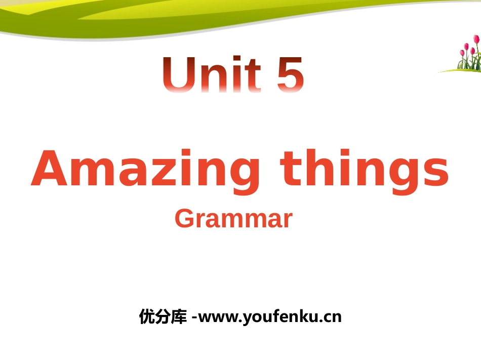 《Amazing things》GrammarPPT课件_第1页