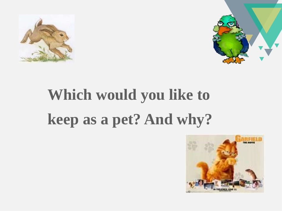 《Pets》PPT课件[牛津译林版英语七年级下册]_第3页