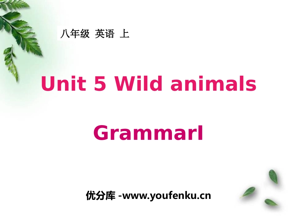 《Wild animals》GrammarPPT课件_第1页