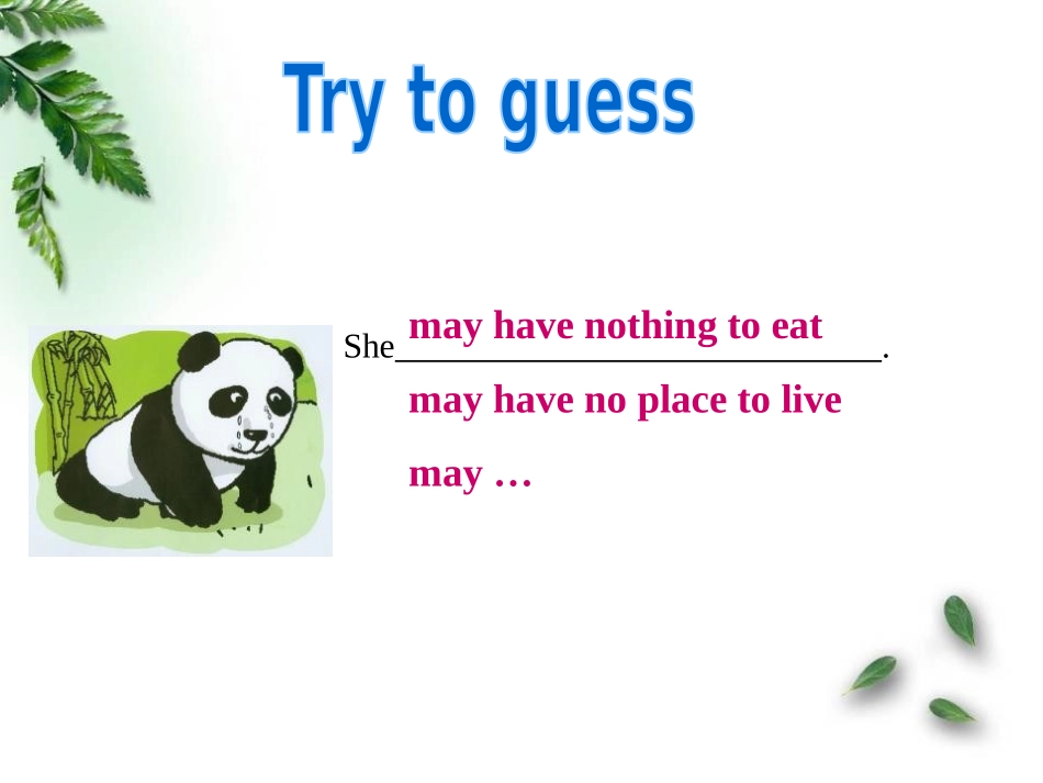 《Wild animals》GrammarPPT课件_第3页