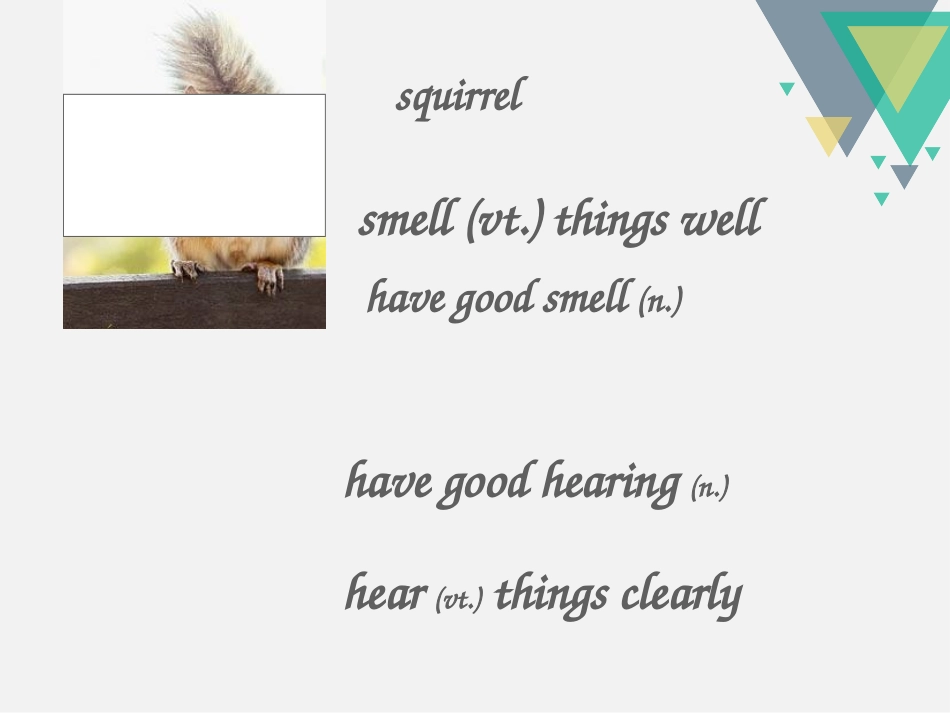 《Wild animals》integrated SkillsPPT课件_第3页