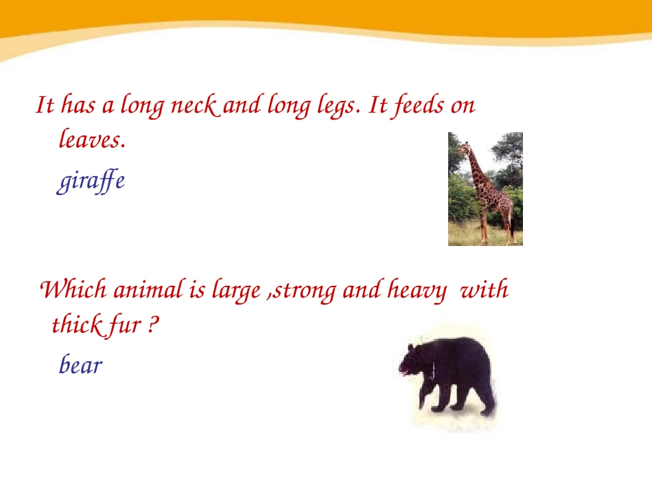 《Wild animals》ReadingPPT课件_第2页