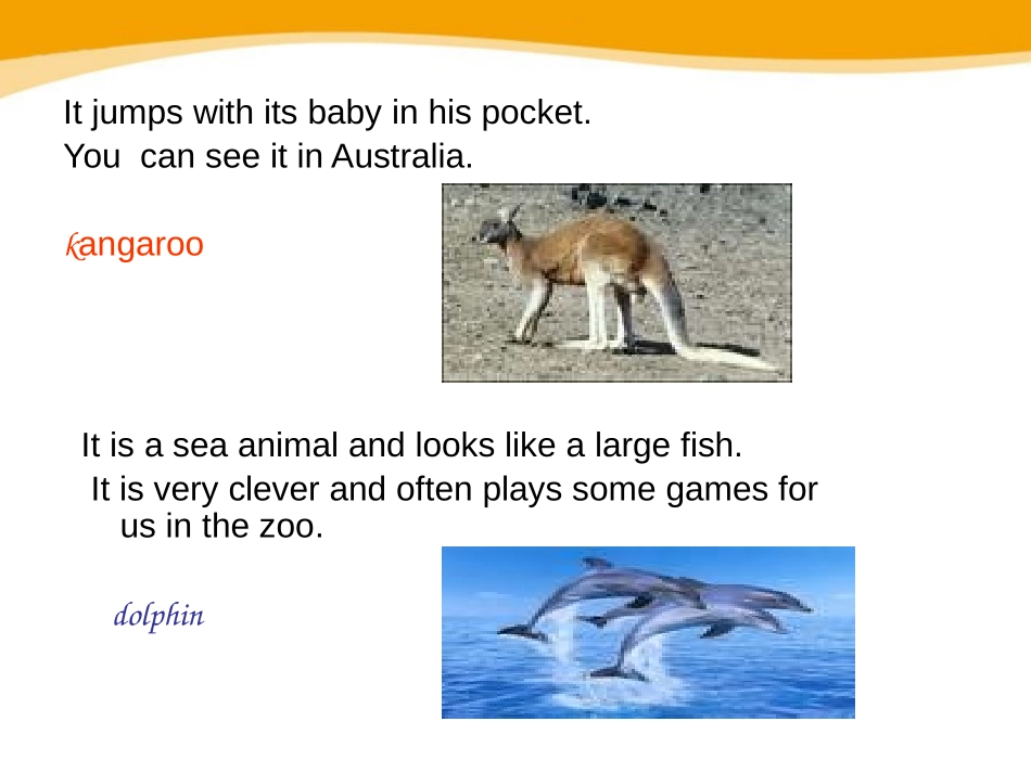 《Wild animals》ReadingPPT课件_第3页