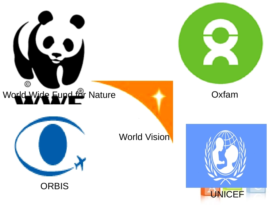 《Intemational charities》Integrated skillsPPT课件_第2页