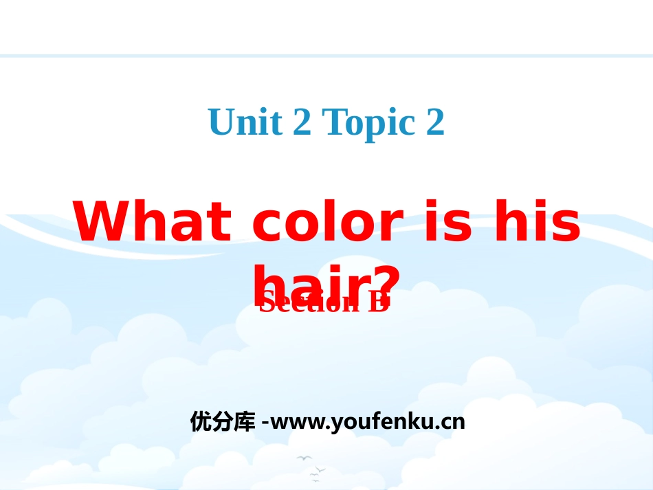 《What color is his hair?》SectionB PPT课件_第1页