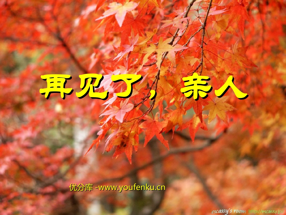 《再见了,亲人》PPT课件[部编版五年级语文下册]_第1页