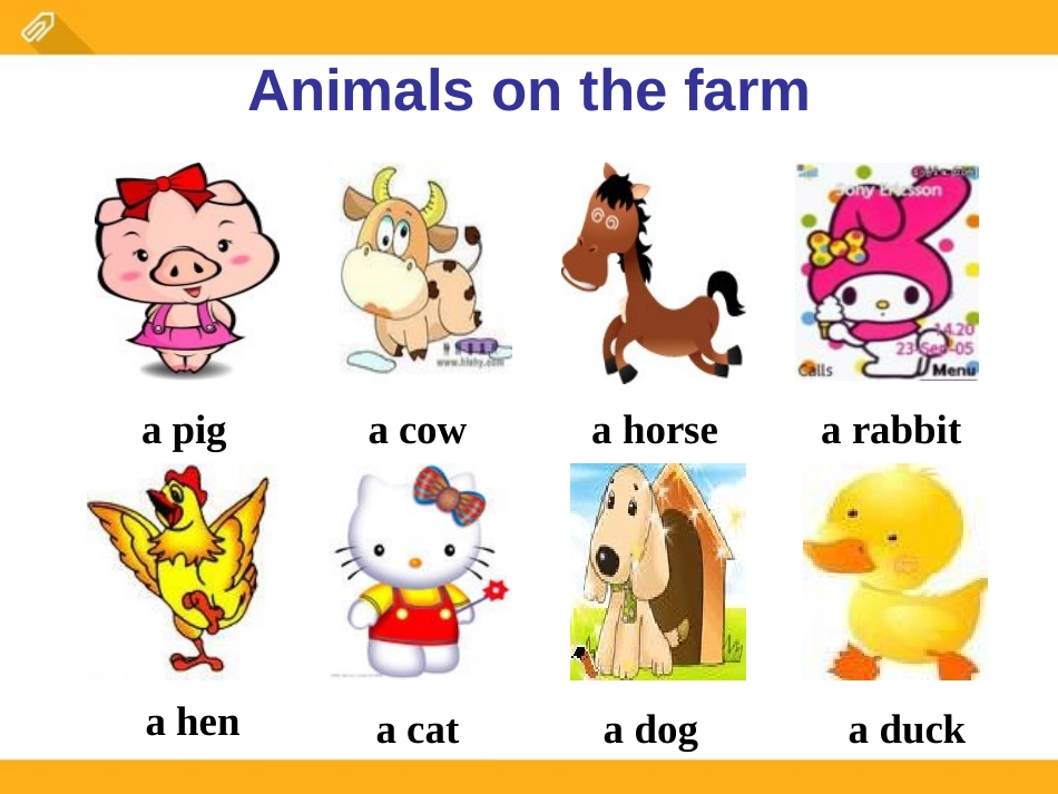 《Which do you like better,plants or animals?》SectionA PPT课件_第2页