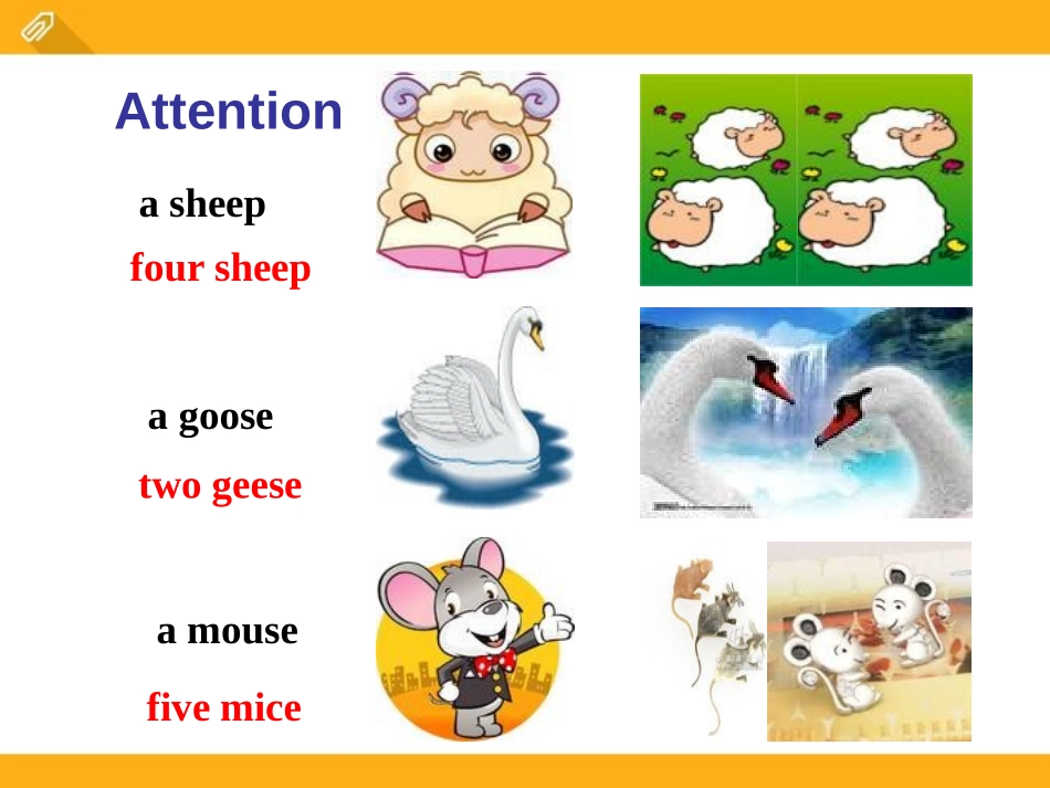 《Which do you like better,plants or animals?》SectionA PPT课件_第3页
