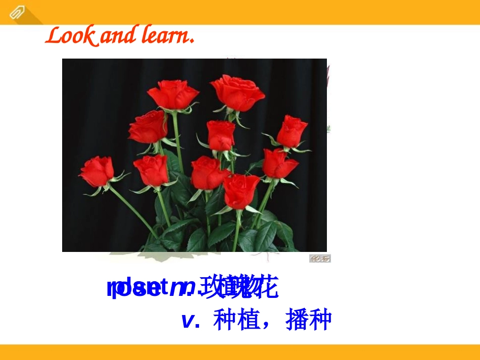 《Which do you like betterplants or animals?》SectionB PPT课件_第2页