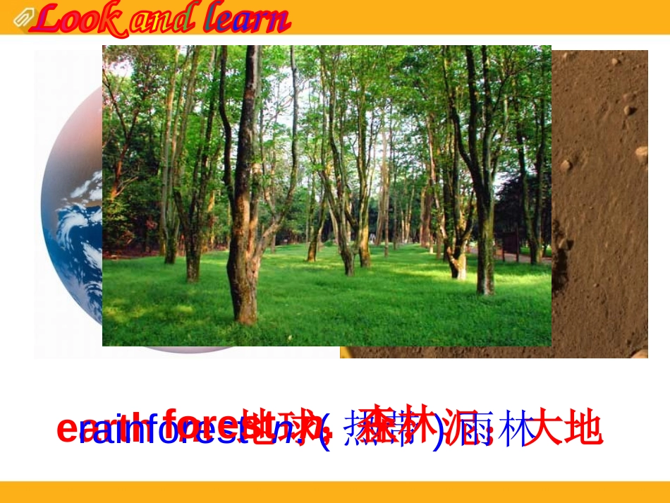 《Which do you like betterplants or animals?》SectionC PPT课件_第2页