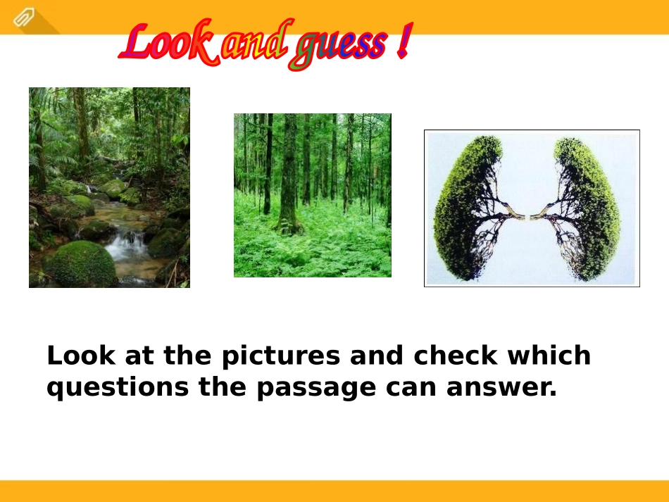 《Which do you like betterplants or animals?》SectionC PPT课件_第3页