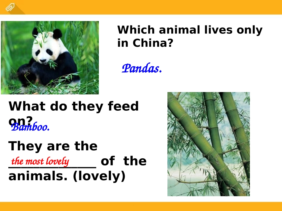 《Which do you like betterplants or animals?》SectionD PPT课件_第3页