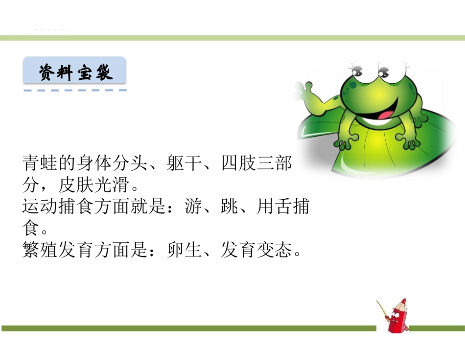 识字《小青蛙》PPT课件[部编版一年级语文下册]_第3页