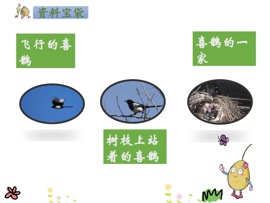 《枫树上的喜鹊》PPT课件[部编版二年级语文下册]_第3页