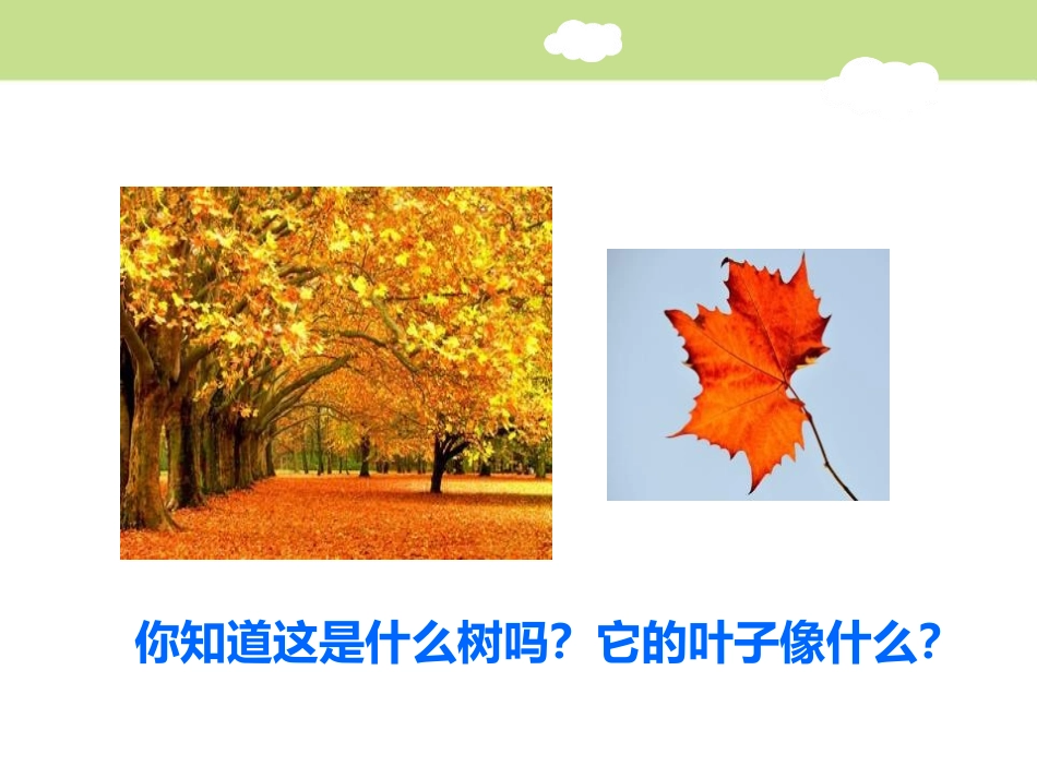 《铺满金色巴掌的水泥道》PPT课件(第一课时)[部编版三年级语文]_第2页
