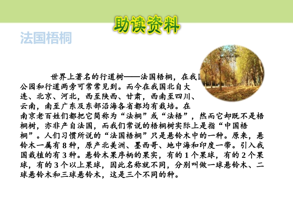 《铺满金色巴掌的水泥道》PPT课件(第一课时)[部编版三年级语文]_第3页