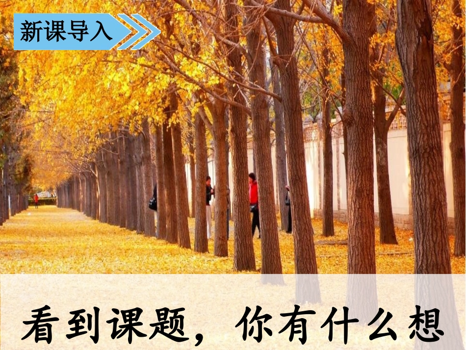 《铺满金色巴掌的水泥道》PPT课件[部编版三年级语文上册]_第2页