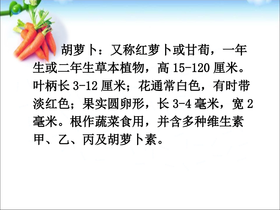 《胡萝卜先生的长胡子》PPT课件[部编版三年级语文上册]_第3页