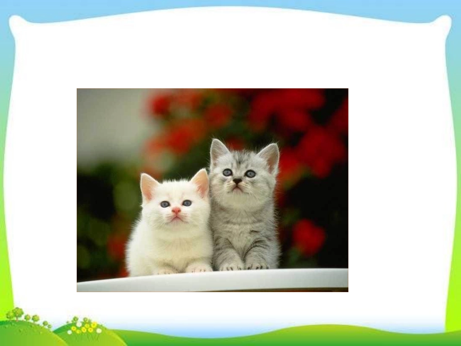 《猫》PPT(第一课时)PPT课件[部编版七年级语文上册]_第2页