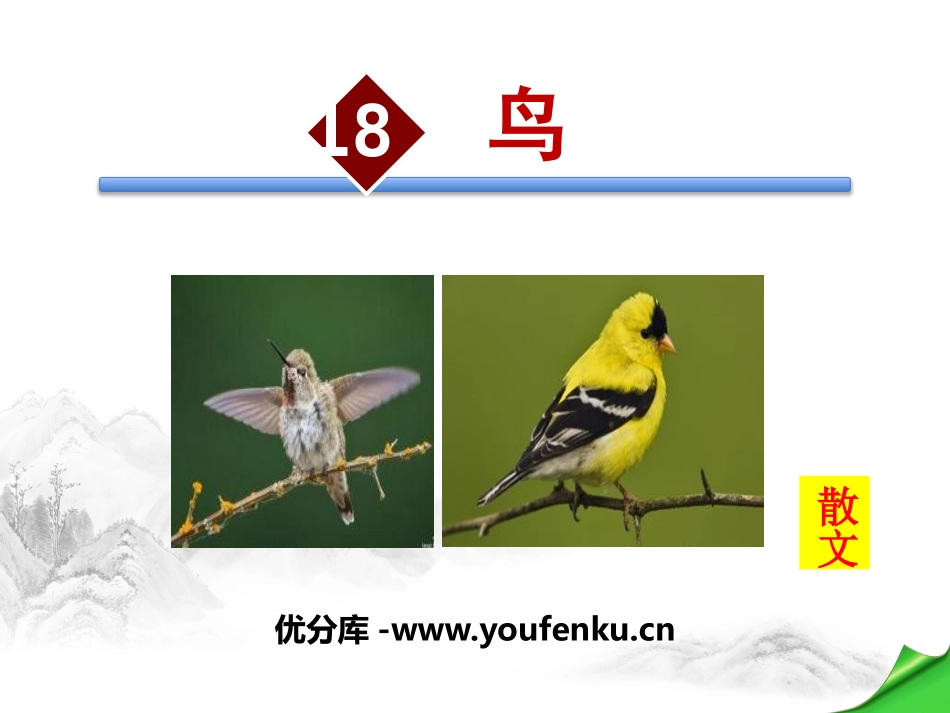 《鸟》PPT课件[部编版七年级语文上册]_第1页