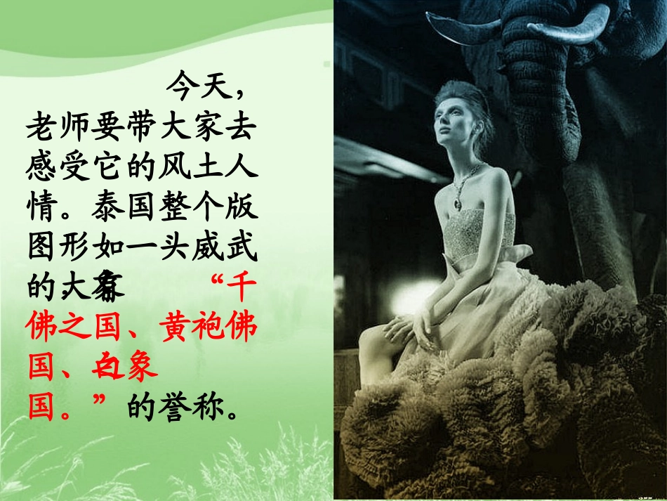 《与象共舞》PPT课件[部编版五年级语文下册]_第3页