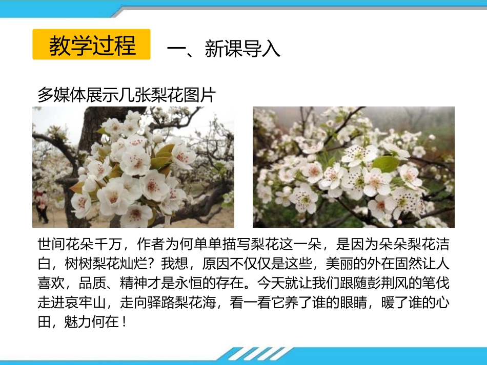 《驿路梨花》PPT课件[部编版七年级语文下册]_第3页
