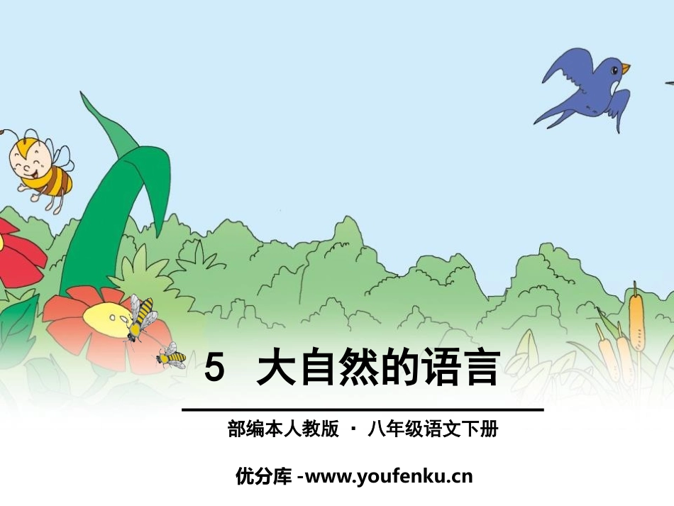 《大自然的语言》PPT课件[部编版八年级语文下册]_第1页